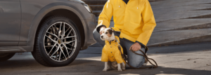 AllSeasonContact 2 de la Continental – locul 1 în testele ADAC, TCS și OAMTC